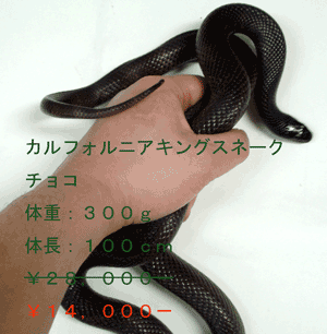 JtHjALOXl[N